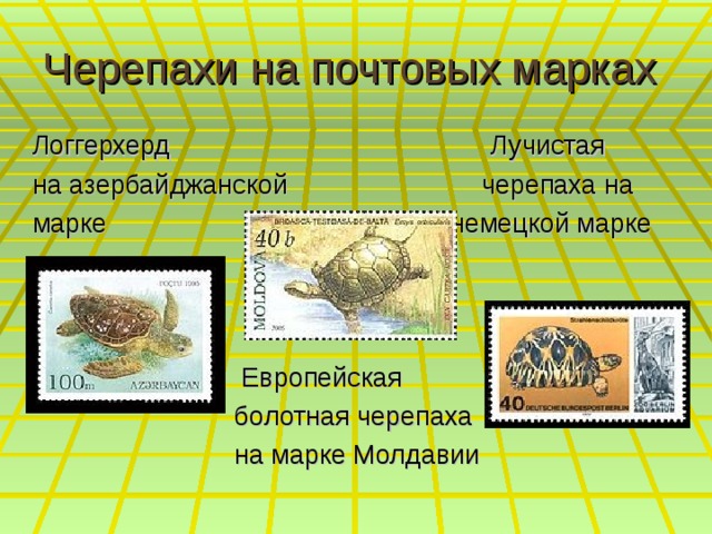 Черепахи на почтовых марках Логгерхерд Лучистая на азербайджанской черепаха на марке немецкой марке  Европейская  болотная черепаха  на марке Молдавии 