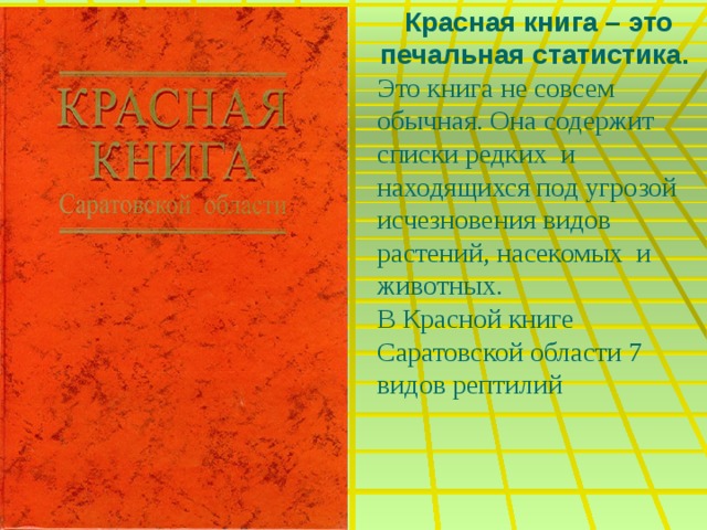 Красная книга – это печальная статистика. Это книга не совсем обычная. Она содержит списки редких и находящихся под угрозой исчезновения видов растений, насекомых и животных. В Красной книге Саратовской области 7 видов рептилий 