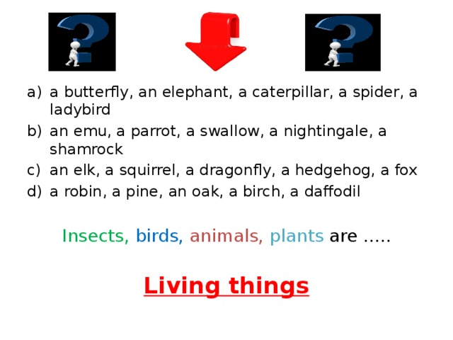 a butterfly, an elephant, a caterpillar, a spider, a ladybird an emu, a parrot, a swallow, a nightingale, a shamrock an elk, a squirrel, a dragonfly, a hedgehog, a fox a robin, a pine, an oak, a birch, a daffodil Insects, birds, animals, plants are ..... Living things 