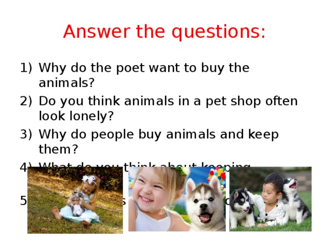 Answer the questions: Why do the poet want to buy the animals? Do you think animals in a pet shop often look lonely? Why do people buy animals and keep them? What do you think about keeping animals? What animals should not become pets? 