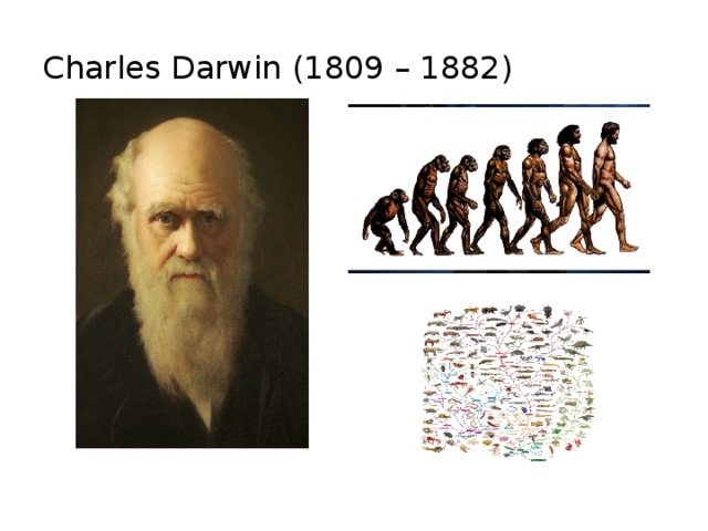 Charles Darwin (1809 – 1882) 