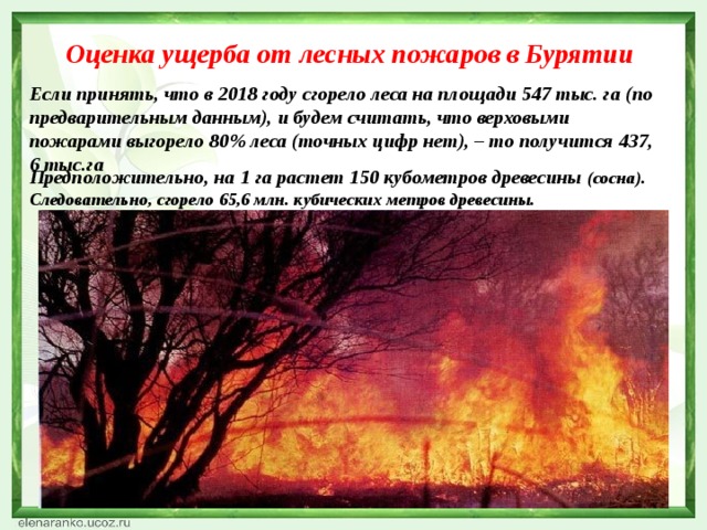 Оценка пожар ущерб. Ущерб от лесных пожаров. Ущерб лесов от пожаров. Ущерб от лесных пожаров в России. Ущерб от лесных пожаров в 2020 году.