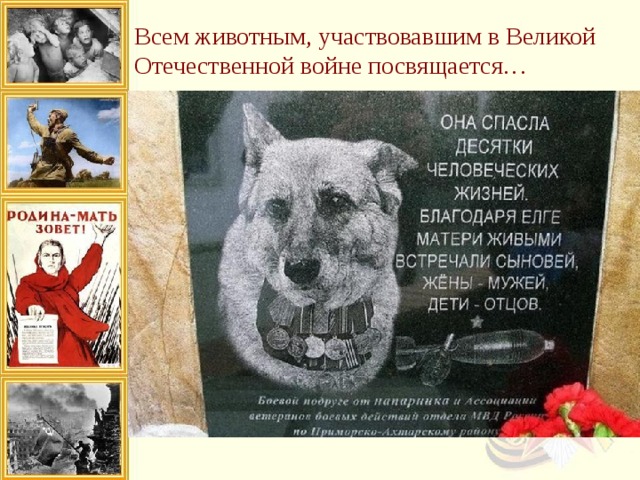 Всем животным, участвовавшим в Великой Отечественной войне посвящается… 