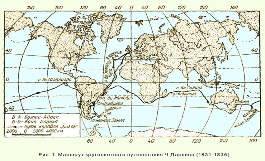 Карта путешествий дарвина