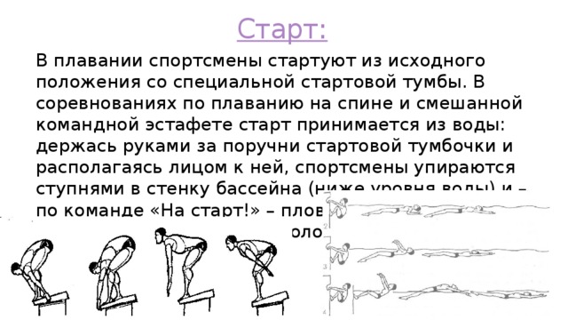 Карточка спортсмена плавание