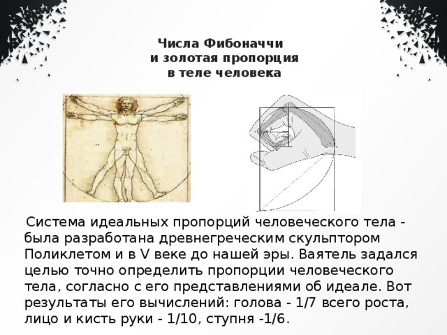 Презентация про числа фибоначчи