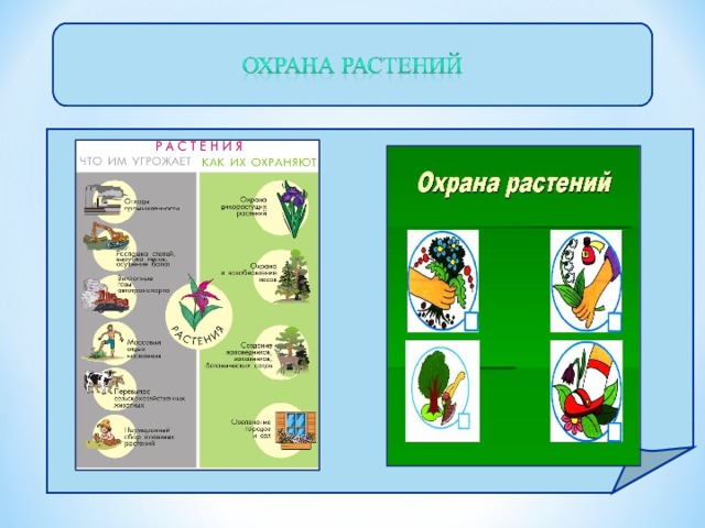 Охрана растений презентация 3 класс окружающий мир