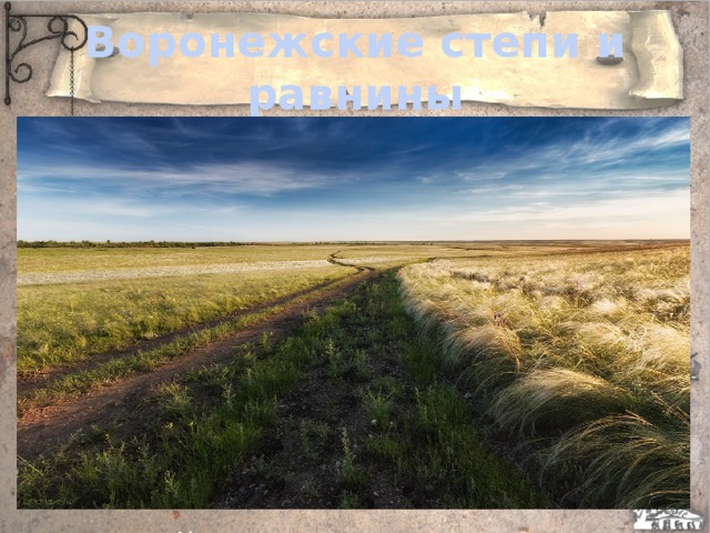 Воронежские степи и равнины 