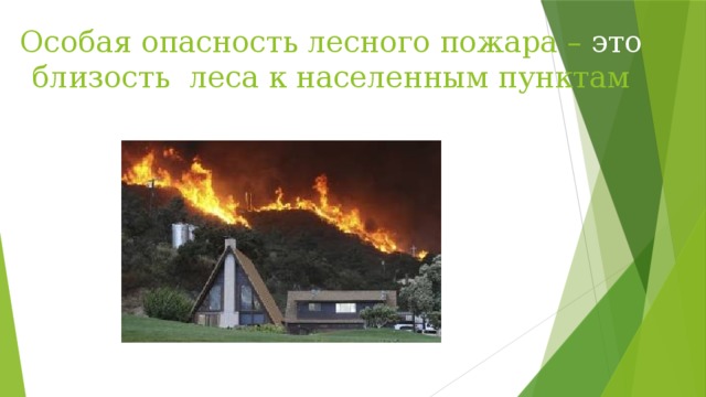Особая опасность лесного пожара – это близость леса к населенным пунктам людей. 
