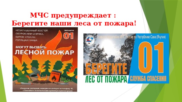 МЧС предупреждает :  Берегите наши леса от пожара! 