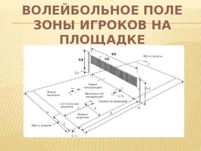 Волейбольное поле схема по зонам