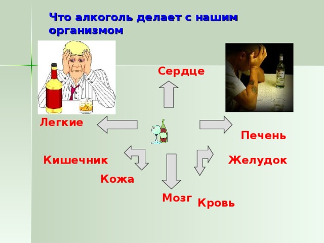 Что алкоголь делает с нашим организмом  Сердце   Печень  Легкие  Желудок   Кишечник Кожа   Кровь   Мозг            