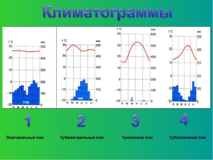 Диаграмма по географии 7 класс