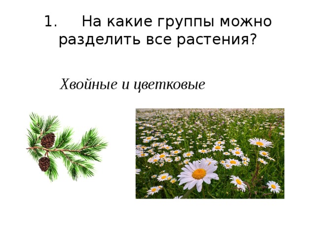 На какие группы можно