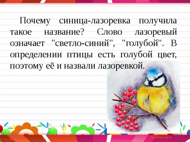 Почему синица-лазоревка получила такое название? Слово лазоревый означает 