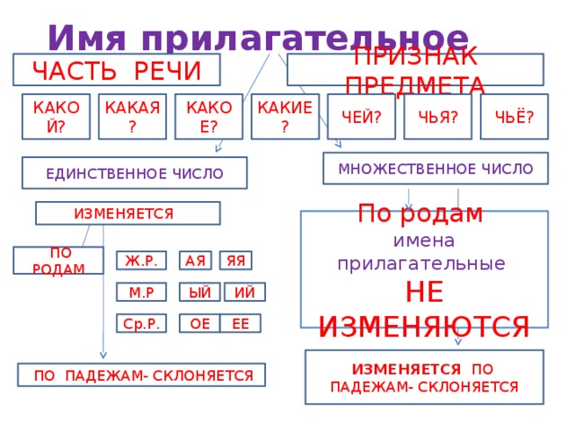 Краткие имена прилагательные изменяются по числам