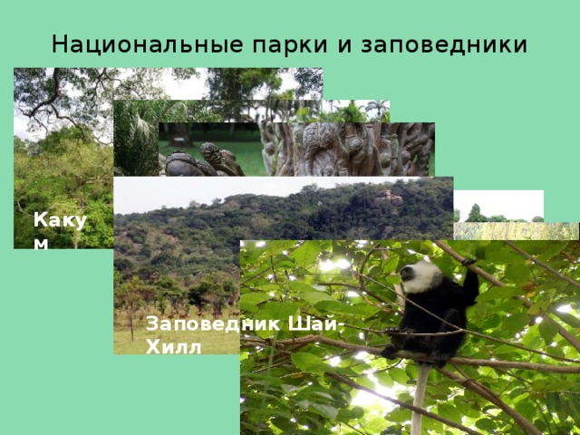 Национальные парки и заповедники Какум Ботанический сад Абури Заповедник Шай-Хилл 