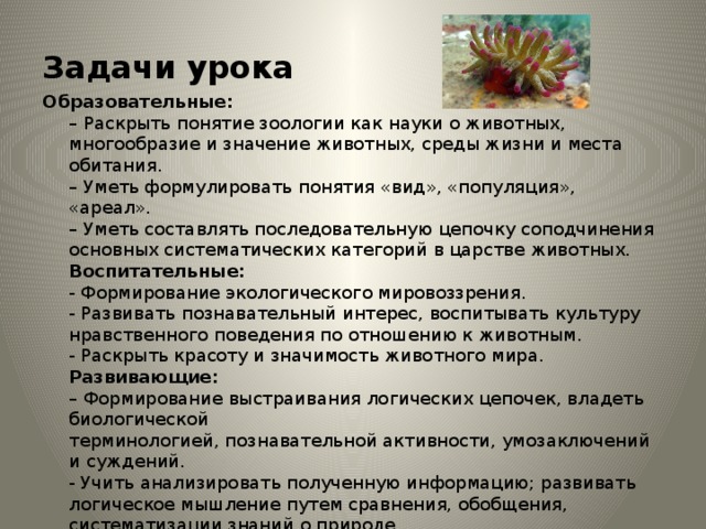 Задачи урока Образовательные:  – Раскрыть понятие зоологии как науки о животных, многообразие и значение животных, среды жизни и места обитания.  – Уметь формулировать понятия «вид», «популяция», «ареал».  – Уметь составлять последовательную цепочку соподчинения основных систематических категорий в царстве животных.  Воспитательные:  - Формирование экологического мировоззрения.  - Развивать познавательный интерес, воспитывать культуру нравственного поведения по отношению к животным.  - Раскрыть красоту и значимость животного мира.  Развивающие:  – Формирование выстраивания логических цепочек, владеть биологической  терминологией, познавательной активности, умозаключений и суждений.  - Учить анализировать полученную информацию; развивать логическое мышление путем сравнения, обобщения, систематизации знаний о природе.   