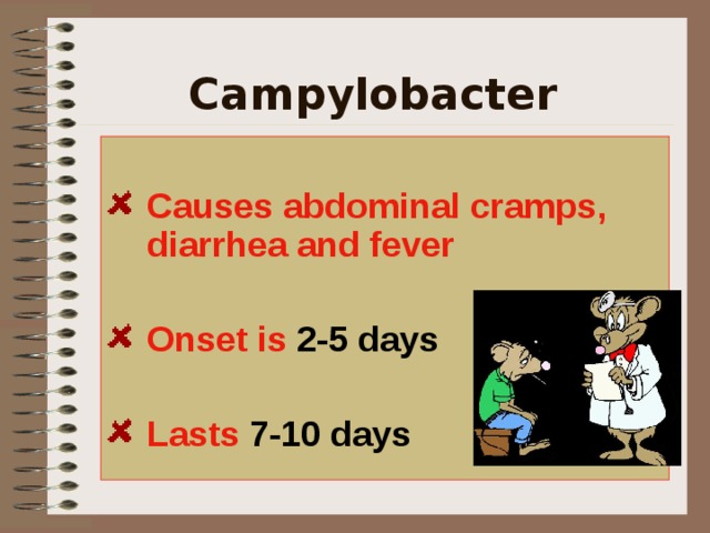 Campylobacter  Causes abdominal cramps, diarrhea and fever  Onset is 2-5 days  Lasts 7-10 days This bacteria causes abdominal cramps, diarrhea (sometimes bloody), and fever. The onset of the illness is typically 2-5 days and lasts 7-10 days.   