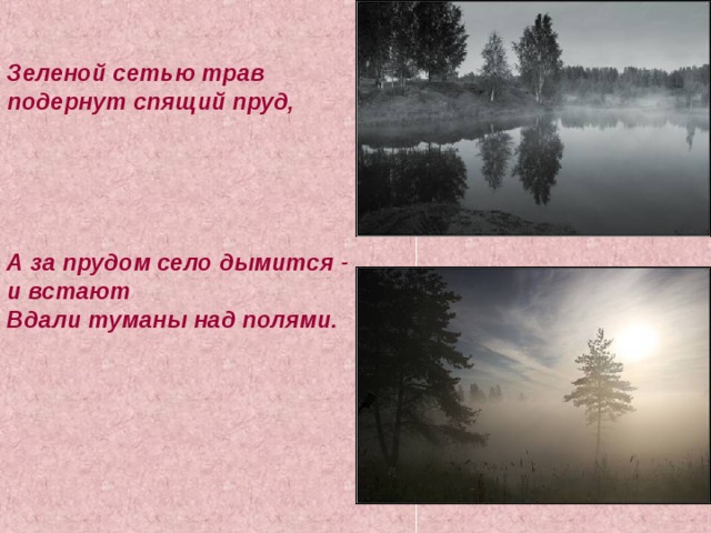 Зеленой сетью трав подернут спящий пруд,     А за прудом село дымится - и встают Вдали туманы над полями. 