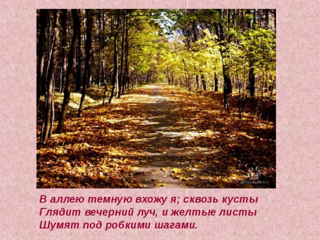 В аллею темную вхожу я; сквозь кусты Глядит вечерний луч, и желтые листы Шумят под робкими шагами.  