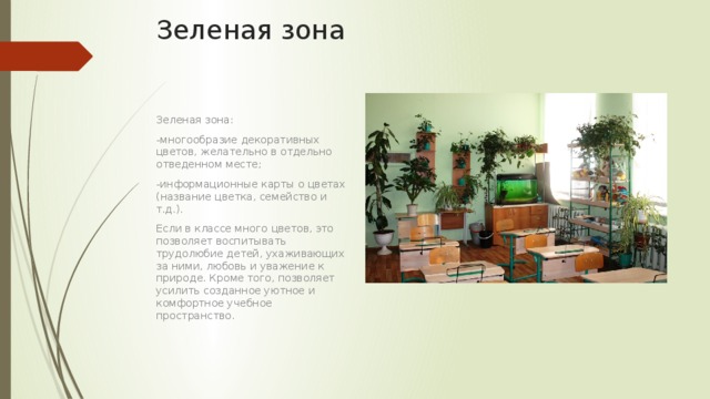 Зеленая зона   Зеленая зона: -многообразие декоративных цветов, желательно в отдельно отведенном месте; -информационные карты о цветах (название цветка, семейство и т.д.). Если в классе много цветов, это позволяет воспитывать трудолюбие детей, ухаживающих за ними, любовь и уважение к природе. Кроме того, позволяет усилить созданное уютное и комфортное учебное пространство. 