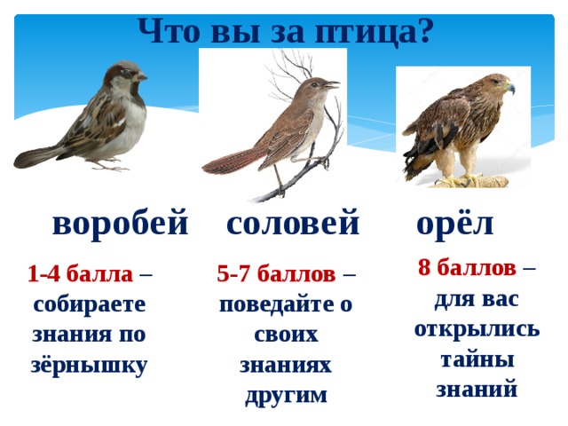 Размеры птиц сравнение. Соловей и Воробей. Соловей и Воробей сравнение. Соловей размер. Соловей и Воробей Размеры.