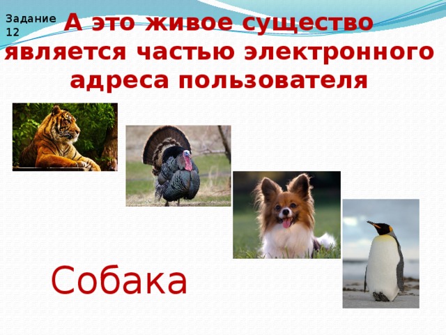 А это живое существо является частью электронного адреса пользователя Задание 12 Собака 