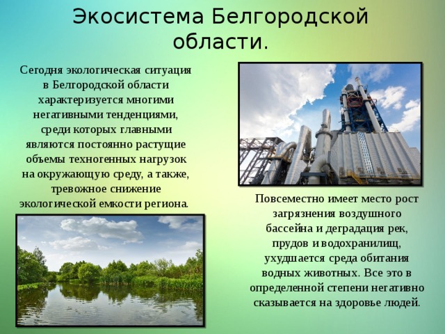 Экосистема Белгородской области. Сегодня экологическая ситуация в Белгородской области характеризуется многими негативными тенденциями, среди которых главными являются постоянно растущие объемы техногенных нагрузок на окружающую среду, а также, тревожное снижение экологической емкости региона. Повсеместно имеет место рост загрязнения воздушного бассейна и деградация рек, прудов и водохранилищ, ухудшается среда обитания водных животных. Все это в определенной степени негативно сказывается на здоровье людей. 