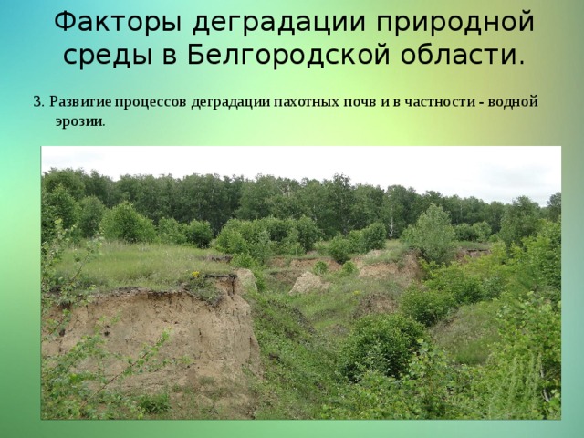 Факторы деградации природной среды в Белгородской области. 3. Развитие процессов деградации пахотных почв и в частности - водной эрозии. 