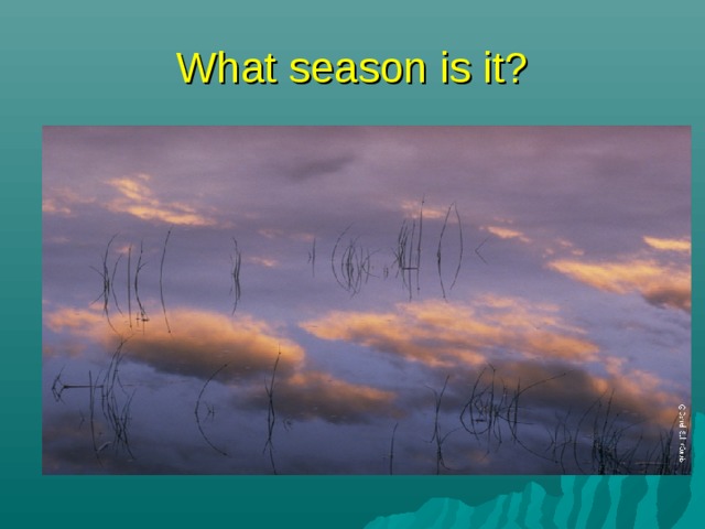 What season is it? 