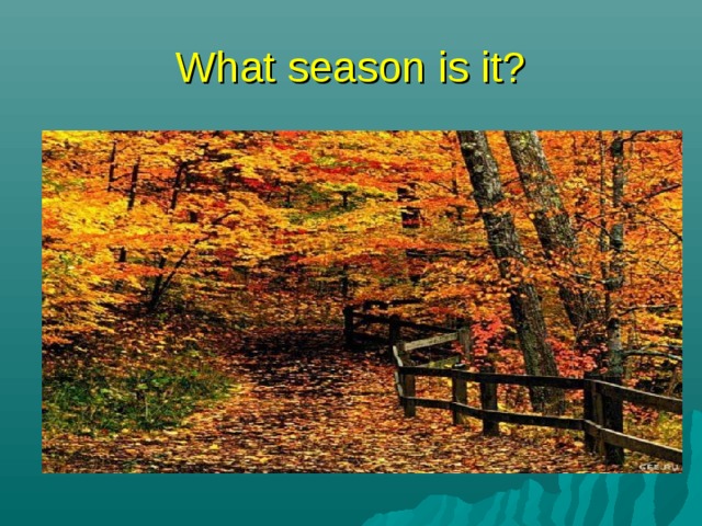 What season is it? 