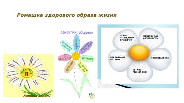 Жизнь ромашка. Ромашка здорового образа жизни. Ромашка по ЗОЖ. Ромашка здоровья для детей. Ромашка здоровья ЗОЖ.