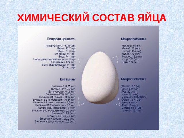 ХИМИЧЕСКИЙ СОСТАВ ЯЙЦА 