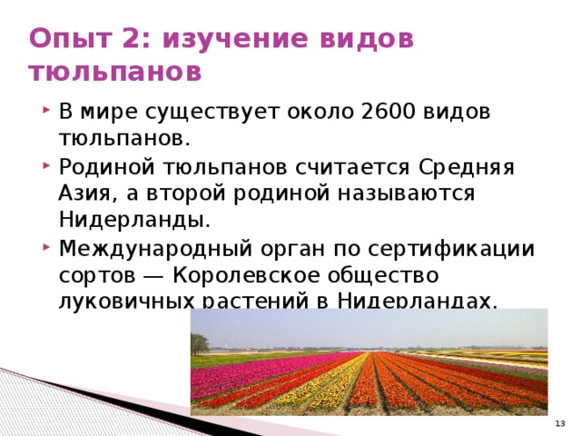 Опыт 2: изучение видов тюльпанов В мире существует около 2600 видов тюльпанов. Родиной тюльпанов считается Средняя Азия, а второй родиной называются Нидерланды. Международный орган по сертификации сортов — Королевское общество луковичных растений в Нидерландах.  