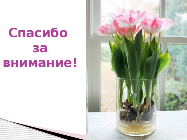 Спасибо  за внимание!  