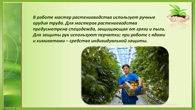 Профессии в растениеводстве 3 класс. Профессии в растениеводстве. Профессия связанная с растениеводством. Профессии людей в растениеводстве. Профессии людей занятых растениеводством.