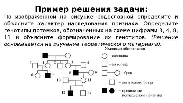 Задачи на составление родословной. Генеалогический метод задачи. Задачи на составление родословной по генетике. Решение задач по биологии на родословную. Родословные задачи по генетике.