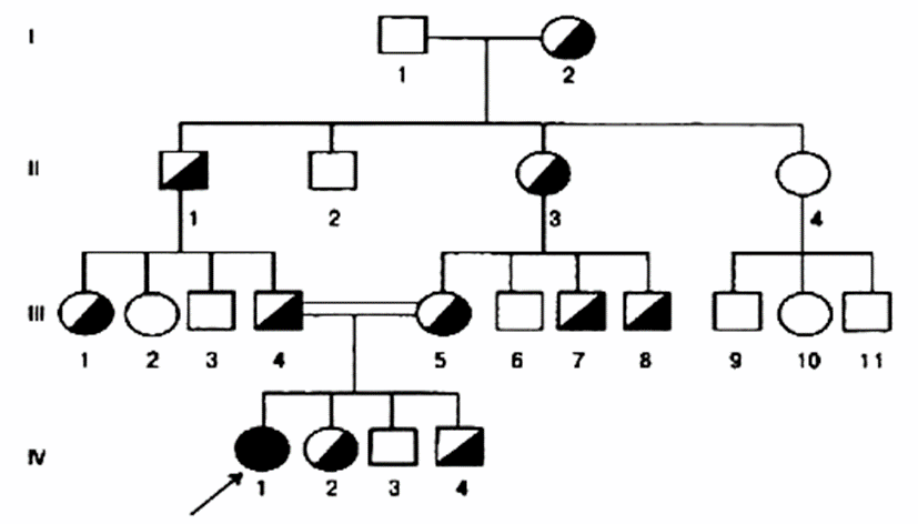 Аутосомно рецессивное наследование родословная. Аутосомно-рецессивный Тип родословная. Родословная с аутосомно-рецессивным типом наследования. Родословная аутосомно рецессивный. Аутосомно-рецессивный Тип наследования.