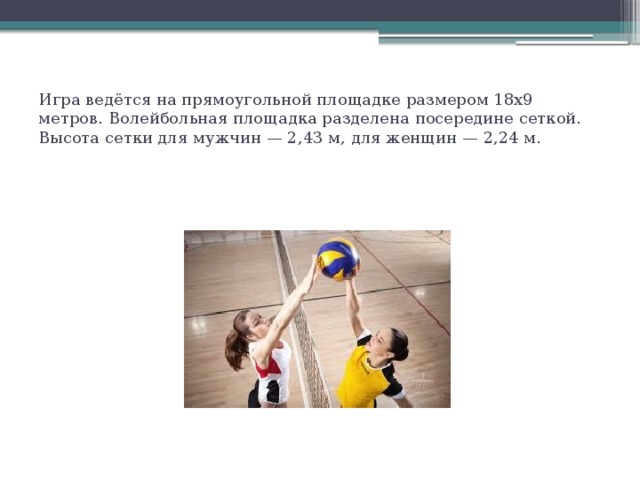 Игра ведётся на прямоугольной площадке размером 18х9 метров. Волейбольная площадка разделена посередине сеткой. Высота сетки для мужчин — 2,43 м, для женщин — 2,24 м. 