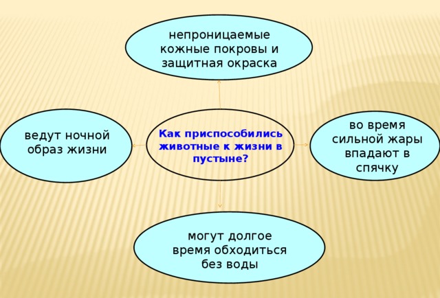 непроницаемые кожные покровы и защитная окраска во время сильной жары впадают в спячку Как приспособились животные к жизни в пустыне? ведут ночной образ жизни могут долгое время обходиться без воды