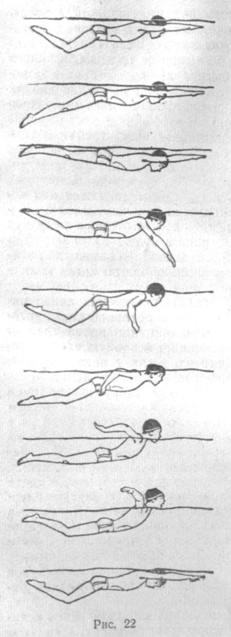 Технику работы ног способом брасс. Баттерфляй плавание техника. Стиль плавания Баттерфляй. Стиль плавания Дельфин. Плавание брасс Баттерфляй.