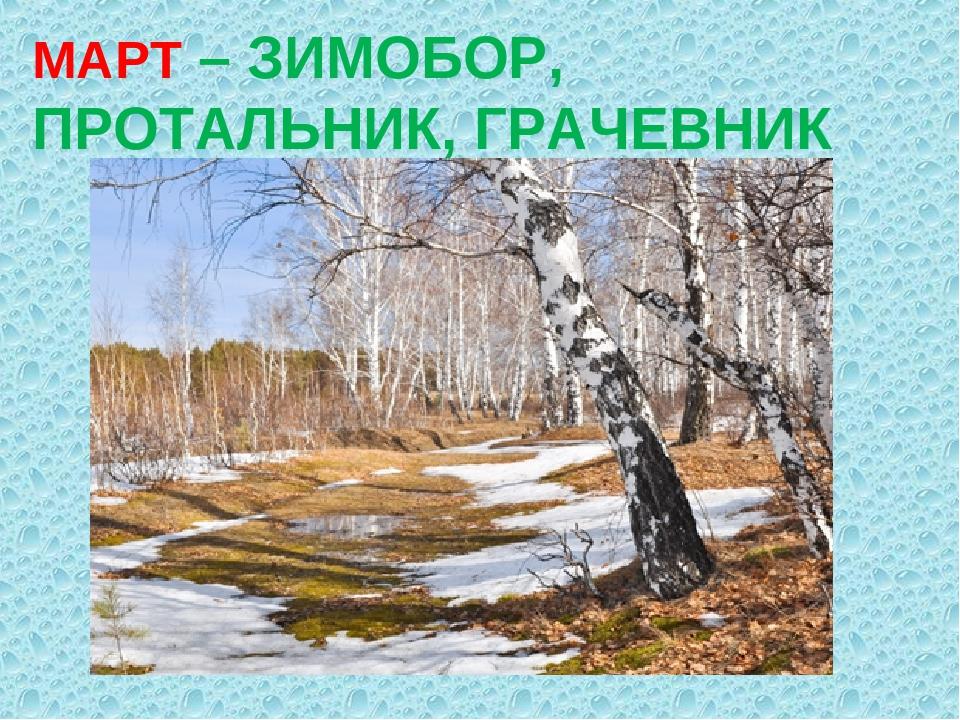 Весной народов называют. Март протальник. Март называют протальник. Март протальник апрель снегогон.