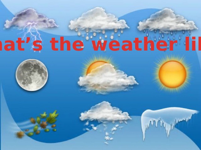 What’s the weather like? 