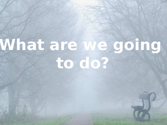 What are we going  to do? 