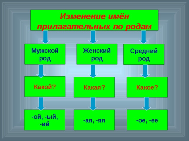 Как изменяются имена. Изменение прилагательных по родам. Мужской женский средний род у прилагательных. Имя прилагательное изменение имен прилагательных по родам. Кластер имя прилагательное по родам.