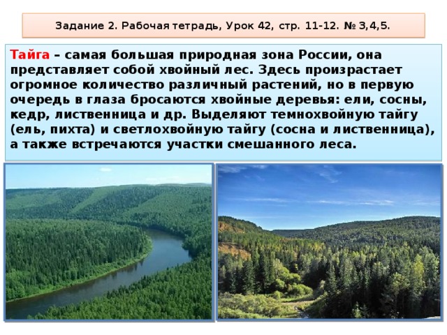 Задание 2. Рабочая тетрадь, Урок 42, стр. 11-12. № 3,4,5. Тайга – самая большая природная зона России, она представляет собой хвойный лес. Здесь произрастает огромное количе­ство различный растений, но в первую очередь в глаза бросаются хвойные деревья: ели, сосны, кедр, лиственница и др. Вы­деляют темнохвойную тайгу (ель, пихта) и светлохвойную тайгу (сосна и лиственница), а также встречаются участки смешанно­го леса. 