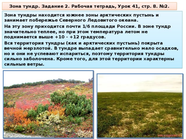 В какой природной зоне почвы сильно заболочены. Зона тундр располагается. Занимаемая территория тундры. Безлесная природная зона. Безлесные территории России.
