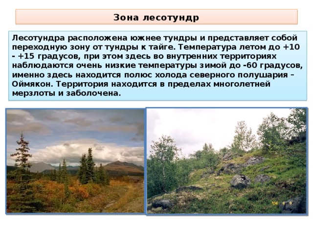 Зона тундры расположена между зоной и зоной. Тундра Безлесная зона. Северные безлесные Северные зоны. Природные зоны России лесотундра. Растительность лесотундры в России.