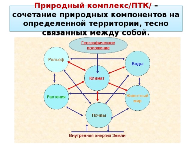Природный комплекс/ПТК/ – сочетание природных компонентов на определенной территории, тесно связанных между собой. 